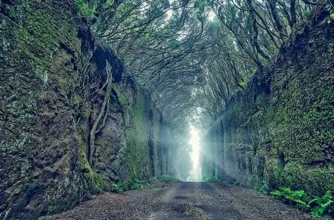 Sendero de los Sentidos en Anaga, Tenerife